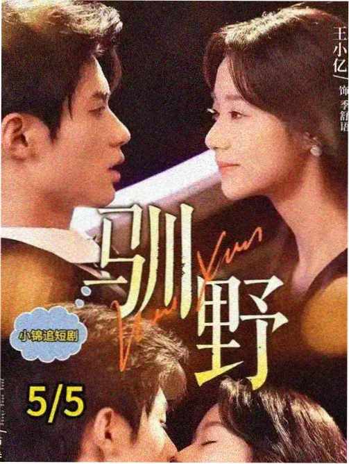 玖玖在线资源 潮汐之下 剧集海报